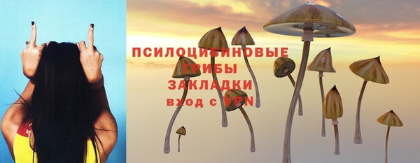 PSILOCYBIN Волосово